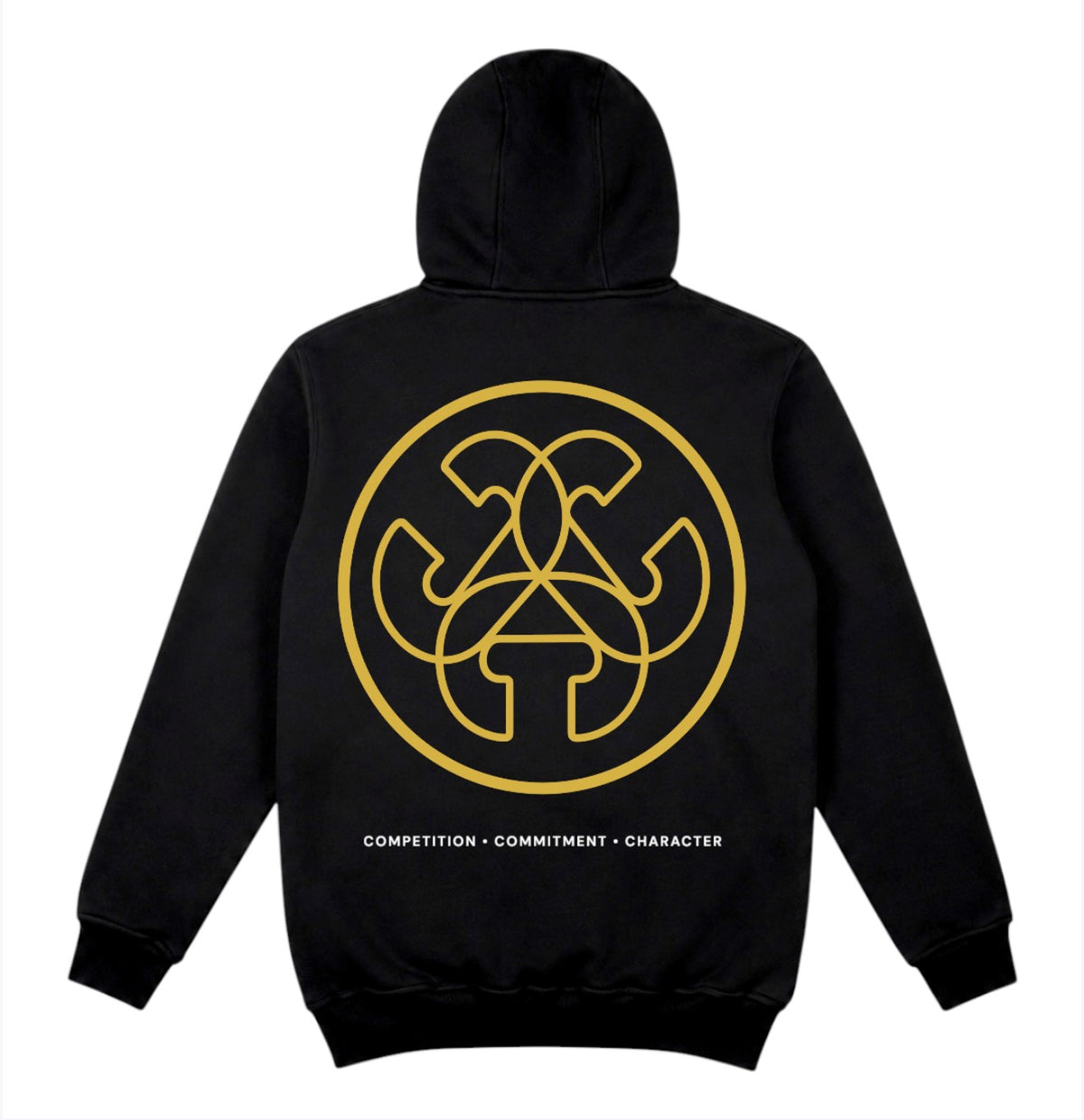 CCC High Profile Athletes heavyweight hoodie, alternate view